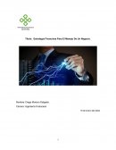 Estrategia Financiera Para El Manejo De Un Negocio