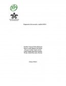 Diagnostico del mercado y análisis DOFA . Aguacate Hass