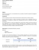 Practica laboratorio Física clásica IPN Esime