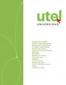 Equipos de alto desempeño