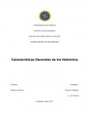 Características Generales de los Helmintos