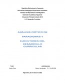 ANALISIS CRÍTICO PARADIGMA DESARROLLO CURRICULAR