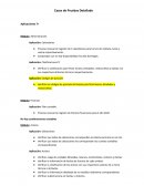 CASOS DE PRUEBAS DETALLADOS - IBM MAXIMO PARA HERMES