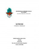 NUTRICION VITAMINAS Y MINERALES