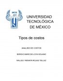 ANALISIS DE COSTOS