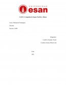 Planeacion estrategica. Compañías de Seguro Pacífico y Rímac