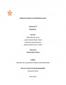 CONTROL DE CALIDAD EN CONFECCION INDUSTRIAL