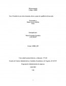 Estudio de caso sobre demanda, oferta y punto de equilibrio del mercado