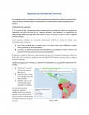 Globalización Organización Mundial Comercio