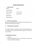 Formato informe rendimiento escolar