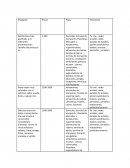 Producto Precio Plaza Promoción