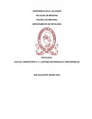PATOLOGÍA I GUIA DE LABORATORIO N° 3: LESIONES REVERSIBLES E IRREVERSIBLES