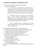 LES TEORIES DE L’APRENENTATGE I L’APRENENTATGE ESCOLAR