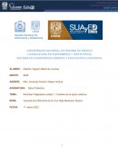 Gestion empresdarial en enfermeria