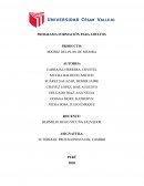 MATRIZ DEL PLAN DE MEJORA