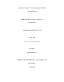 ARGUMENTACION Y PRODUCCION DE TEXTOS ACTIVIDAD N° 4