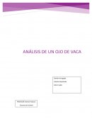 Análisis de un ojo de vaca