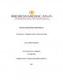 Introduccion al psicoanalisis