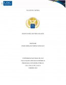 PROGRAMA CONTADURÍA PÚBLICA