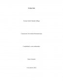 Contabilidad y costos ambientales