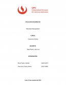 Economía Política “Mercados Repugnantes”