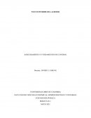 NUEVO INFORME DEL AUDITOR