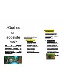 Que es un ecosistema