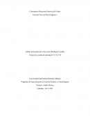 Comentarios Pretensión Punitiva del Estado