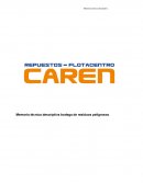 Memoria técnica descriptiva bodega de residuos peligrosos