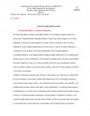 Energía hidráulica y su impacto ambiental