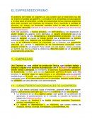 TEORÍA DE INTRODUCCIÓN A LA EMPRESA