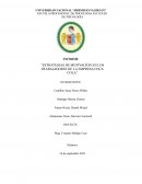 ESTRATEGIAS DE MOTIVACIÓN EN LOS TRABAJADORES DE LA EMPRESA COCA COLA