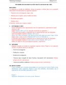 INFORME DE SEGMENTACIÓN SEGÚN ESTILOS DE VIDA RESUMEN