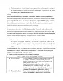 Investigación de mercados de ropa de marca