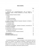 Impelmentacion del proceso estretgico