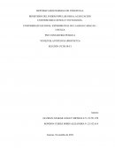 VENEZUELA POTENCIA (PROYECTO)