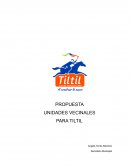 PROPUESTA UNIDADES VECINALES PARA TILTIL