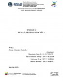 Trabajo de mundializacion