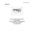 E-Marketing. Nuevos modelos de negocios en internet
