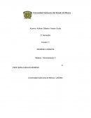 Planeación Políticas