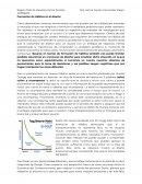 Formación de Hábitos en el diseño