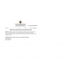 RÚBRICA ANALÍTICA DE DESEMPEÑO