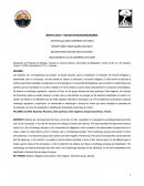 MORFOLOGIA Y TINCION EN MICROORGANISMOS