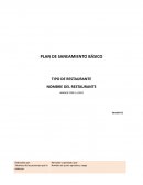 Formato plan de saneamiento básico