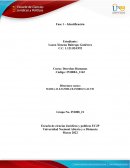 Fase 1 – Identificación - Derechos Humanos