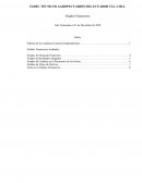 Informe de los Auditores Externos Independientes