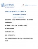 Plan de cuidados de enfermería para recién nacido con ictericia neonatal