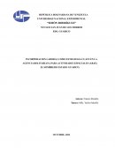 INCORPORACION LABORAL COMO ESTRATEGIA CLAVE EN LA AGENCIA BOLIVARIANA
