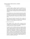 LITIGIOS INTERNOS Y PROTECCION DE LA COMPAÑÍA