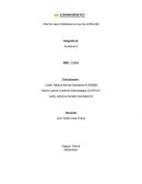 Informe caso Interbolsa a la luz de la NIA 240